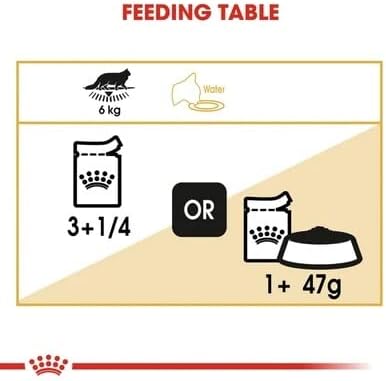 Royal Canin Maine Coon Adult Cat Food 85g x 12
