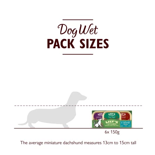Lily's Kitchen Natural Adult Wet Dog Food Tray Cottage Pie Grain-Free Recipe 10 x 150g