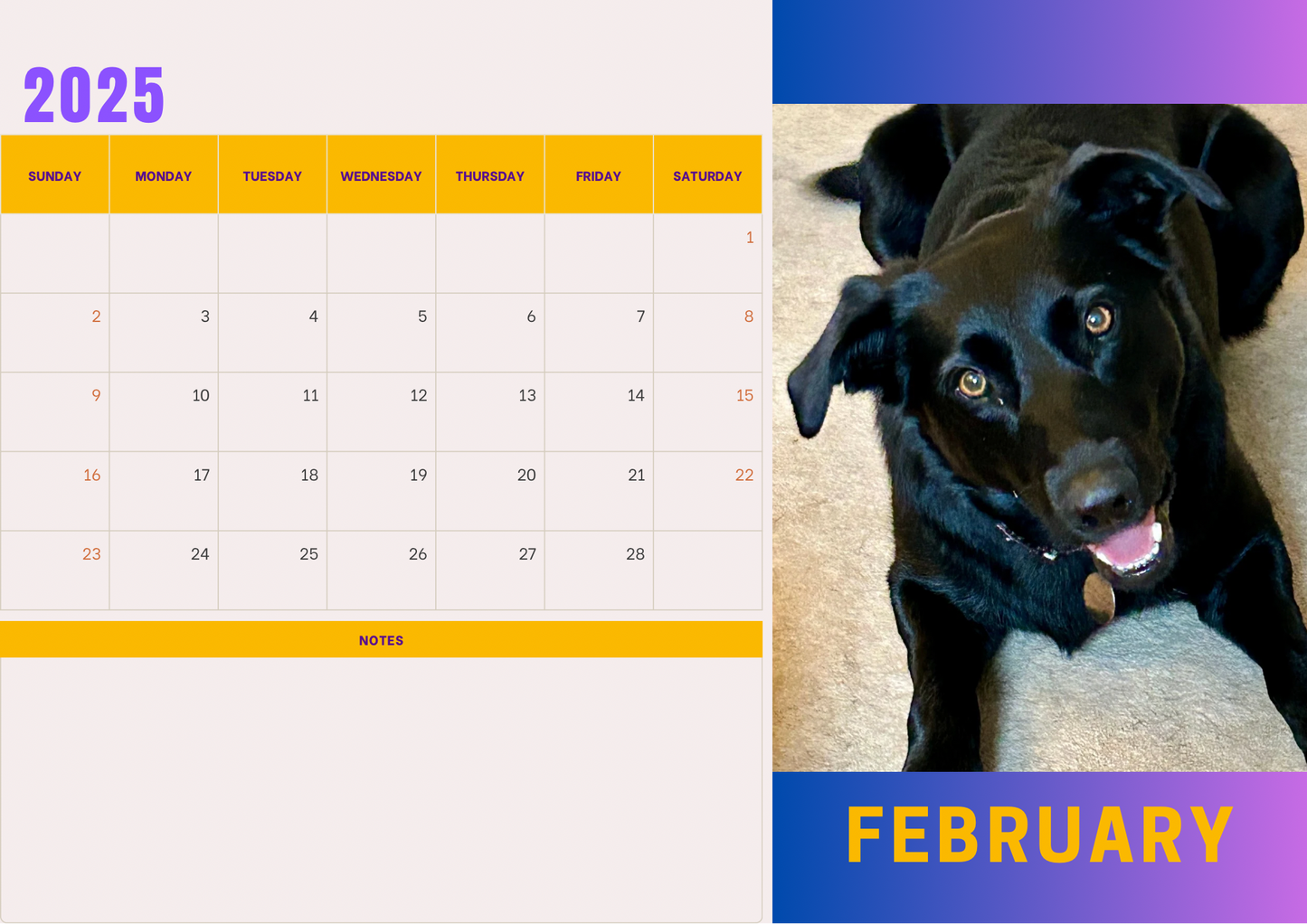 Dogs 2 calendar 2025 A4 landscape