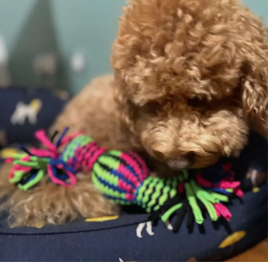 String Rubber Squeaky Rope Tug toy