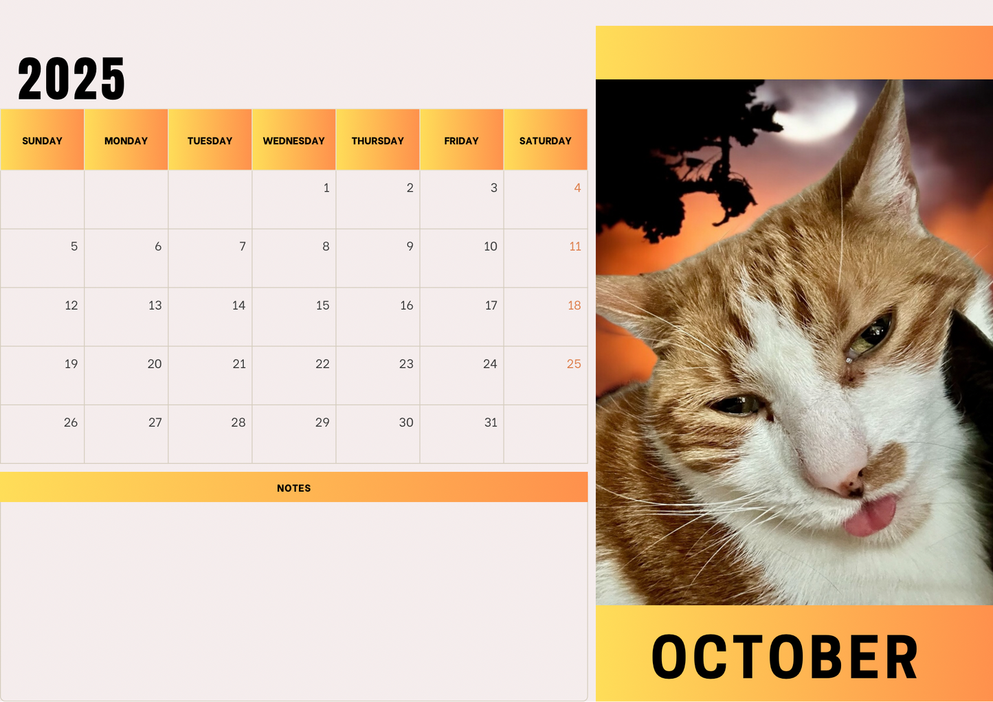 Cats calendars 2025 A4 landscape