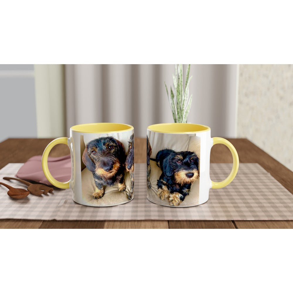 401edc79-c913-48d3-a59f-31b1d0b7fe0c