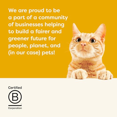 Applaws Complete Natural and Grain Free Dry Adult Cat Food