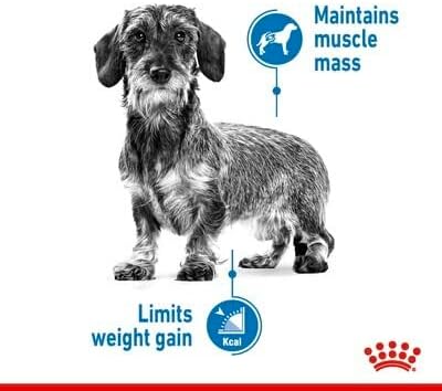 Royal Canin Light Weight Care Adult Dog Wet Pouches 85g