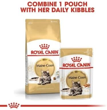 Royal Canin Maine Coon Adult Cat Food 85g x 12