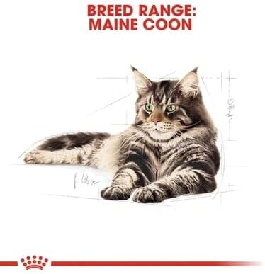 Royal Canin Maine Coon Adult Cat Food 85g x 12