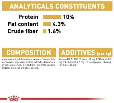 Royal Canin Maine Coon Adult Cat Food 85g x 12