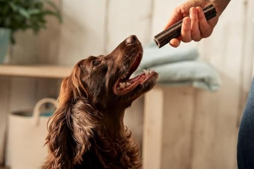 Forthglade Natural Dog Dental Sticks (20 Sticks) - Plant-Based & Grain Free Dog Treats, Dental Chews for Fresh Breath, Removes Plaque and Tartar, Resealable Bags