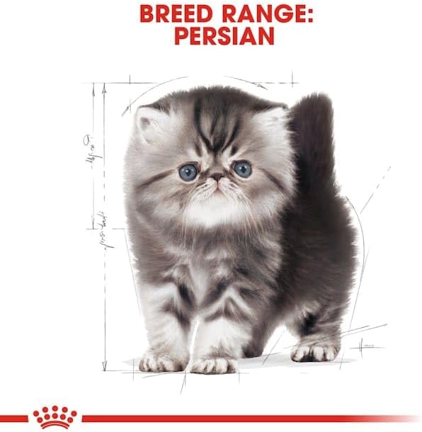 ROYAL CANIN Persian Kitten Cat Feed