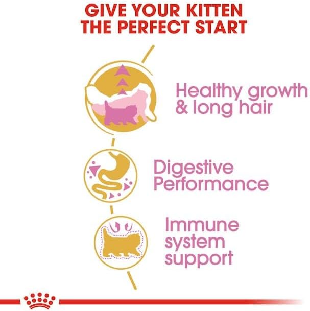 ROYAL CANIN Persian Kitten Cat Feed