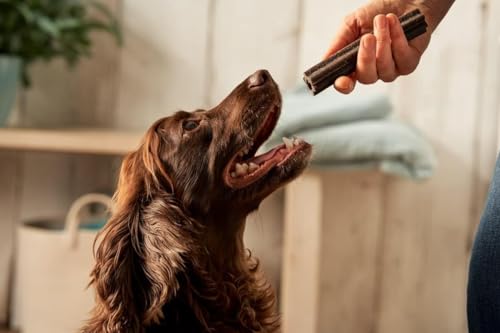 Forthglade Natural Dog Dental Sticks (20 Sticks) - Plant-Based & Grain Free Dog Treats, Dental Chews for Fresh Breath, Removes Plaque and Tartar, Resealable Bags