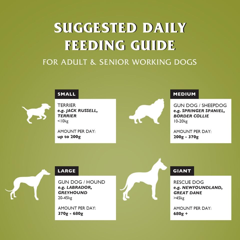 Dr John Wheat-Free Hypoallergenic Dry Dog Food - Lamb with Rice Dog Food 12.5kg - Complete Nutrition for Adult and Senior Dogs with Sensitive Digestion