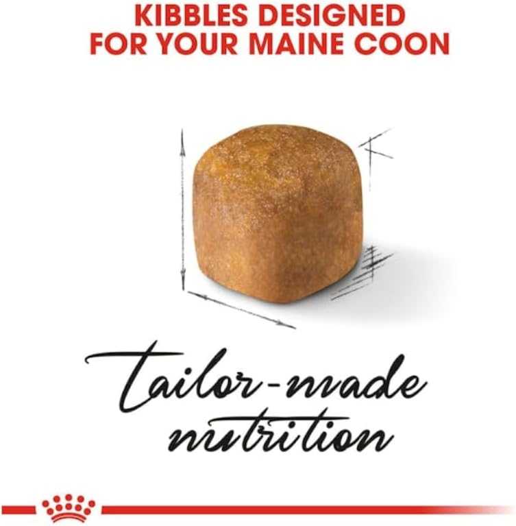 Royal Canin Maine Coon Kitten | 4 Pack | 4 x 400g | Complete Food for Maine Coon Kitten | Up to 12 Months of Life