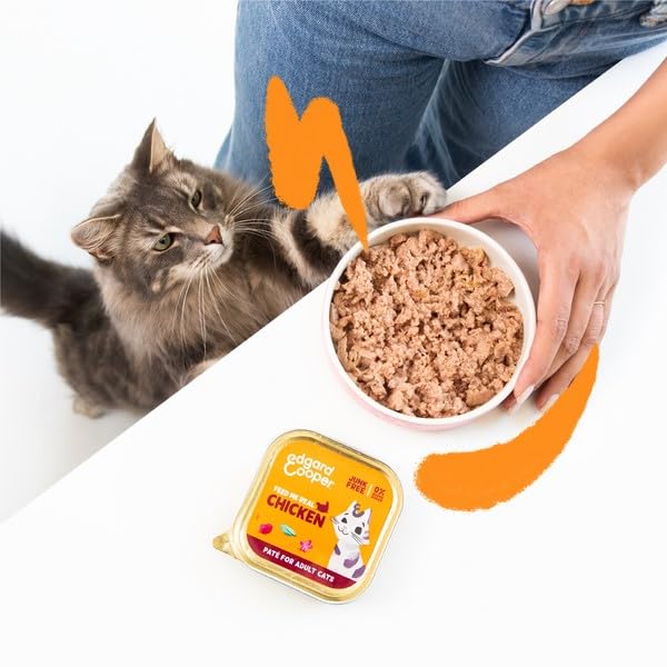 Edgard Cooper Grain Free Wet Cat Food Pate for Adult Cats (Salmon&Chicken 16 x 85g), Natural Cat Food in Cup for Sterilized or Active Cats, Fresh Meat, No Added Sugar