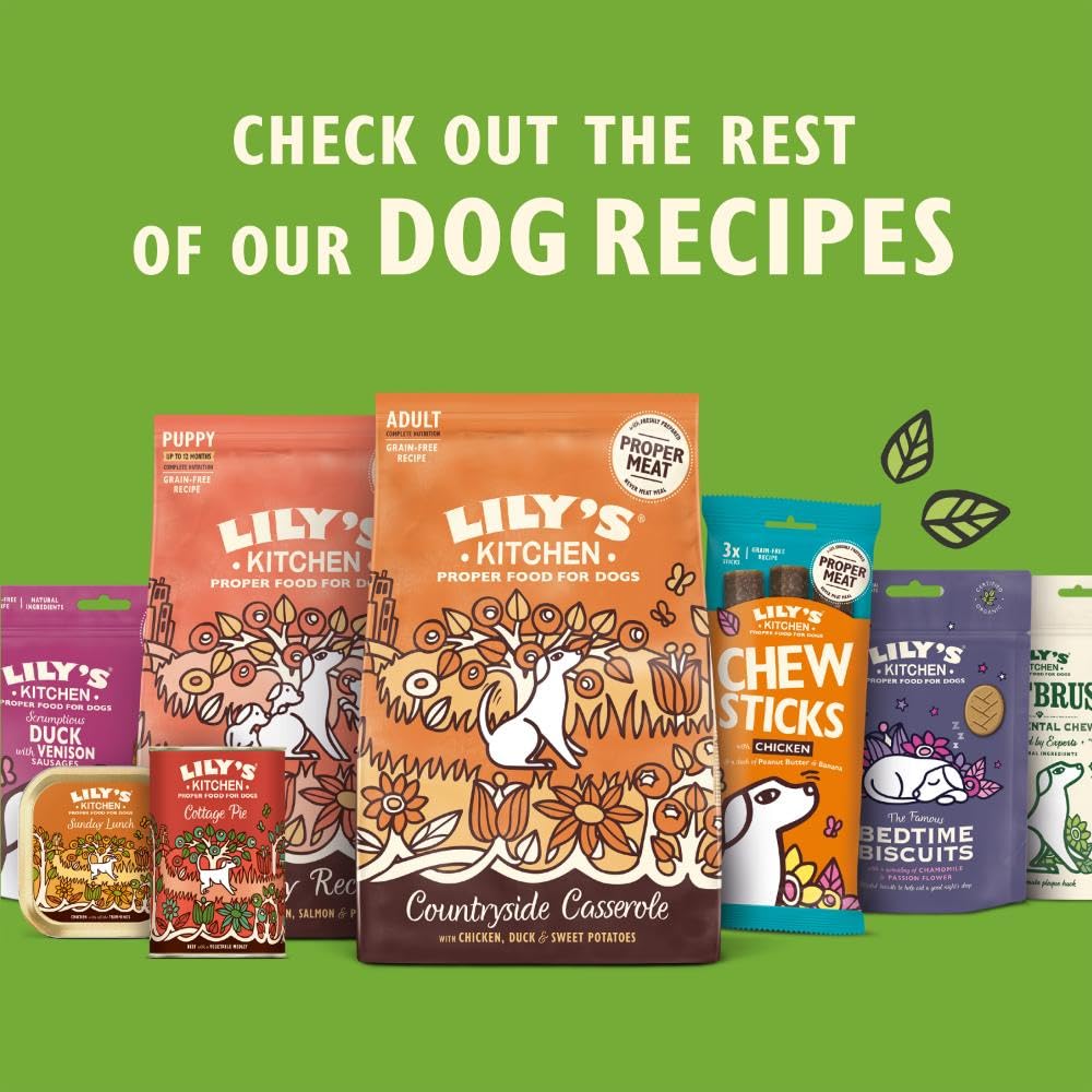 Lily's Kitchen Natural Adult Wet Dog Food Tray Cottage Pie Grain-Free Recipe 10 x 150g