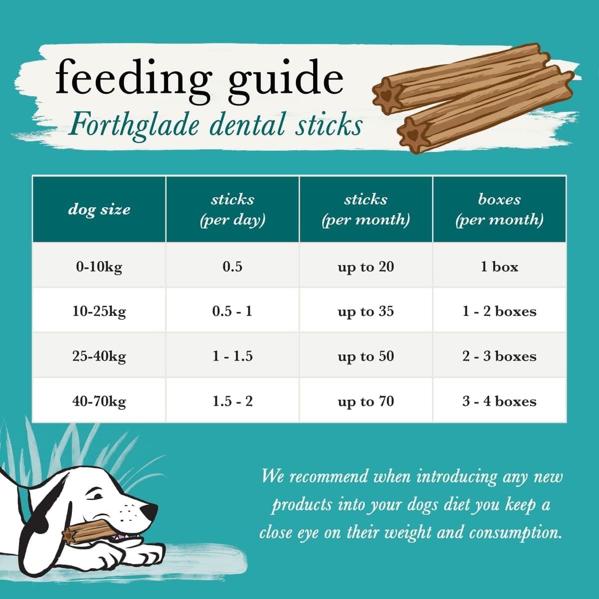 Forthglade Natural Dog Dental Sticks (20 Sticks) - Plant-Based & Grain Free Dog Treats, Dental Chews for Fresh Breath, Removes Plaque and Tartar, Resealable Bags