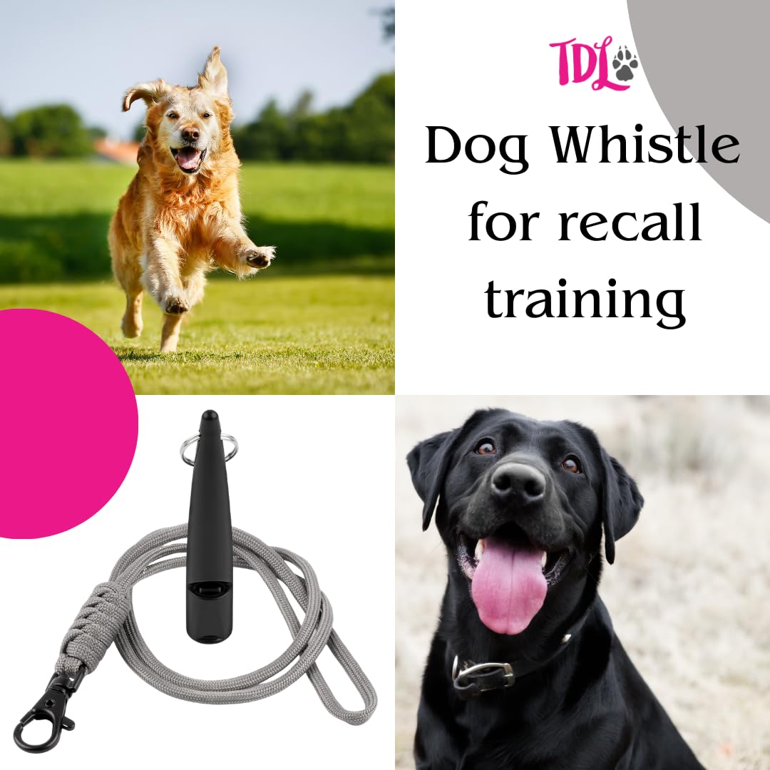 TDL Gun Dog Training Whistle with Lanyard - Dog Whistle with Loud, Solid Tone & Far Reaching Sound - Ideal High-Frequency Long-Distance Dog Recall Whistle for Most Breeds
