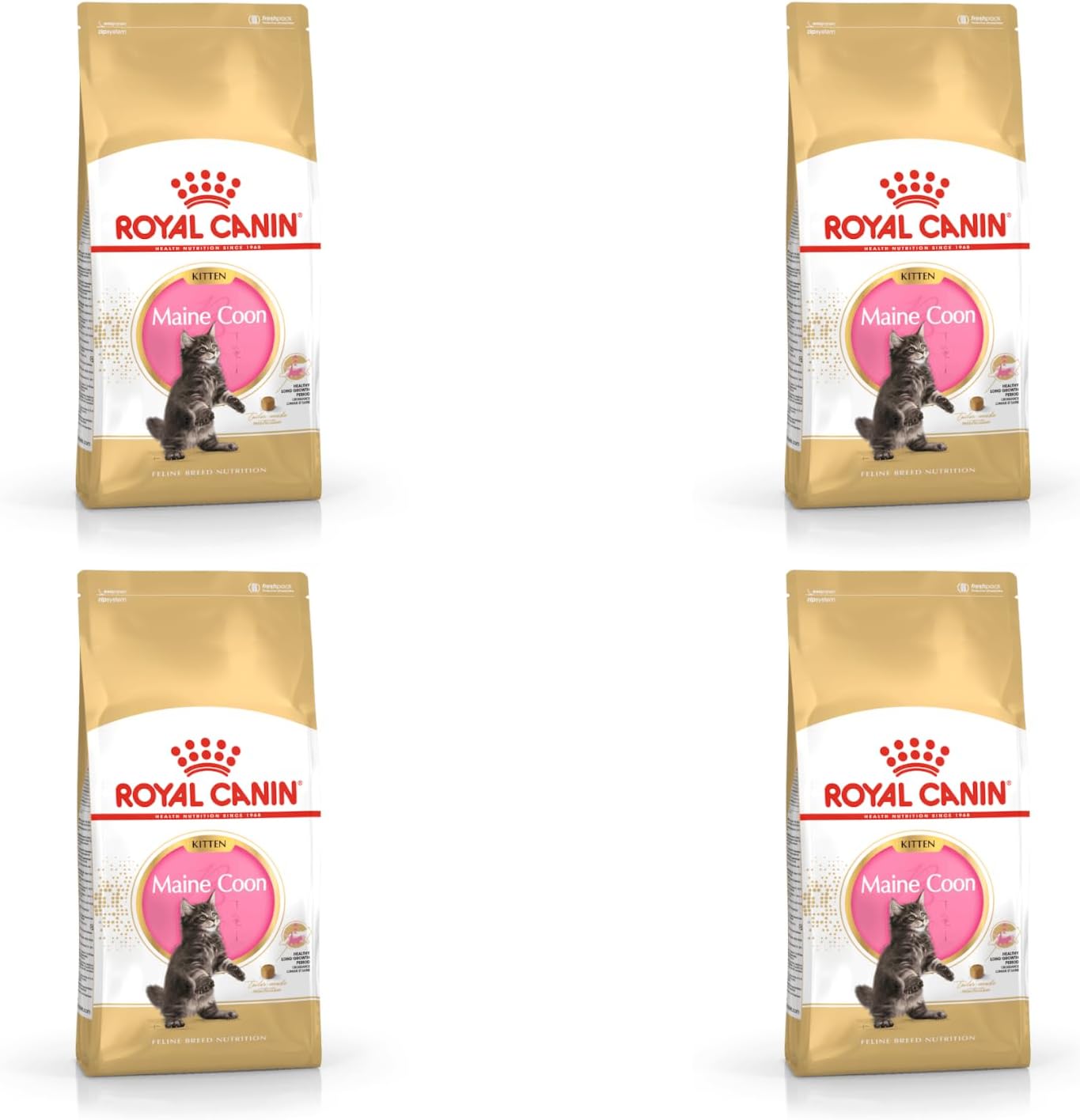 Royal Canin Maine Coon Kitten | 4 Pack | 4 x 400g | Complete Food for Maine Coon Kitten | Up to 12 Months of Life