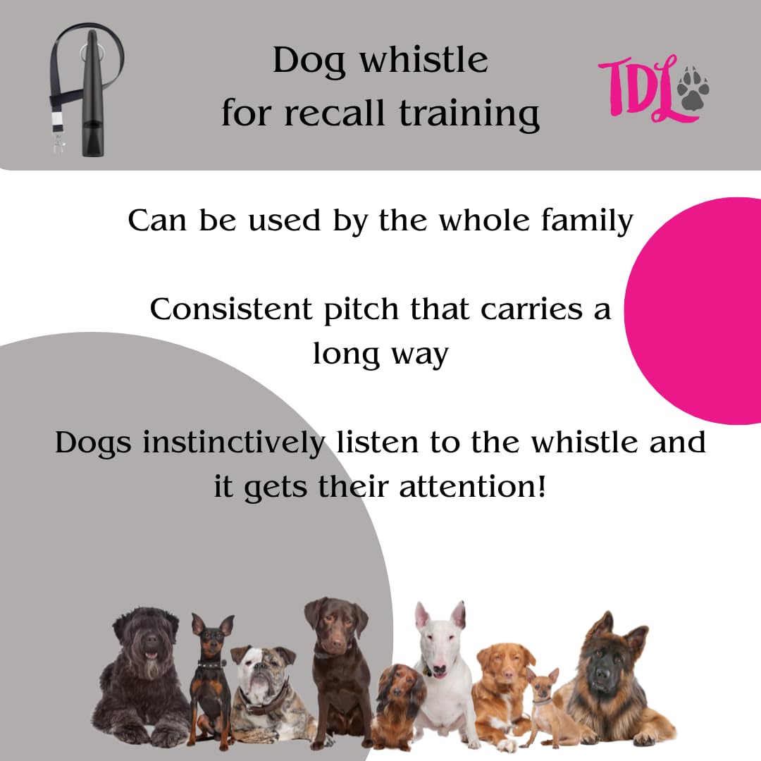 TDL Gun Dog Training Whistle with Lanyard - Dog Whistle with Loud, Solid Tone & Far Reaching Sound - Ideal High-Frequency Long-Distance Dog Recall Whistle for Most Breeds