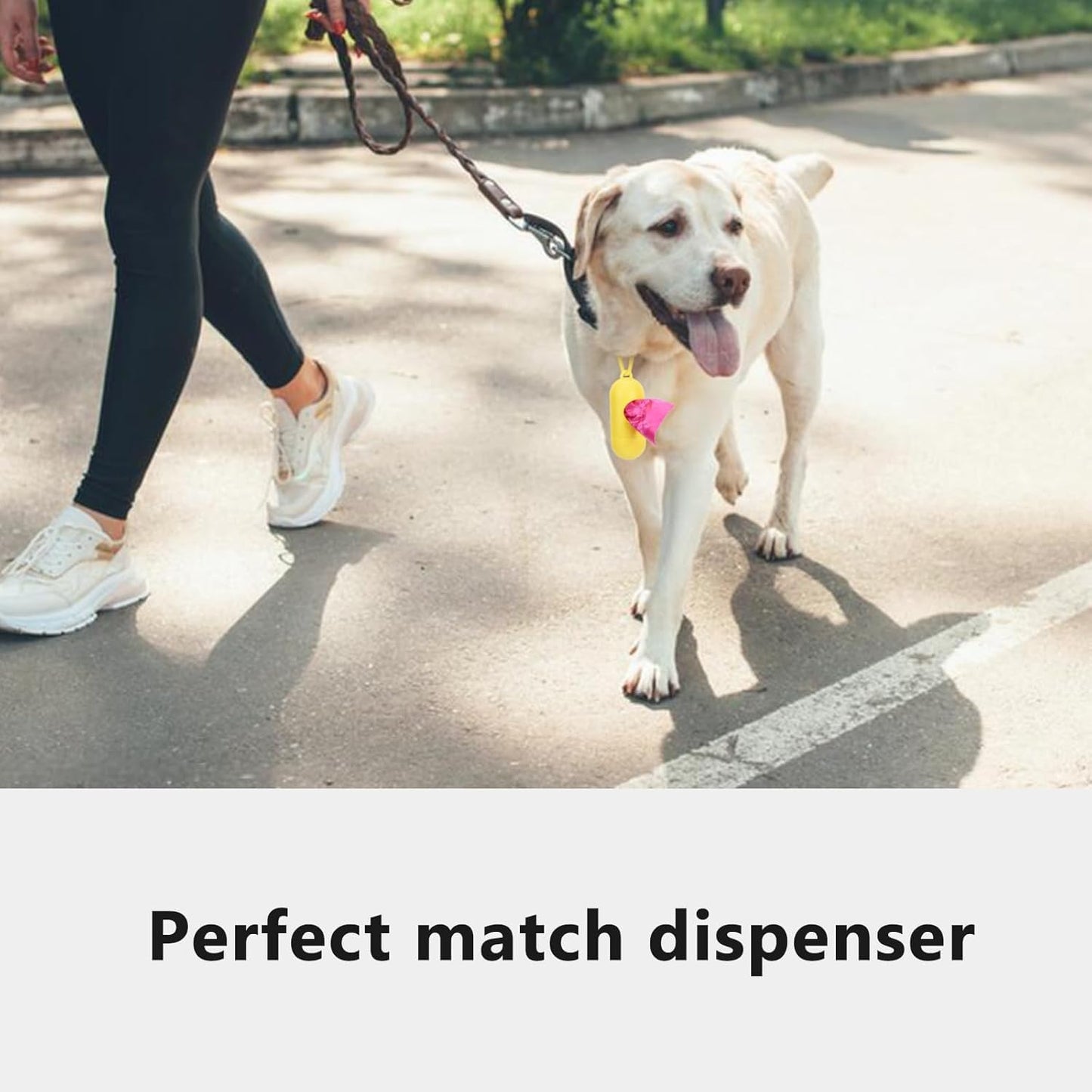 Nineaccy Biodegradable Dog Poo Bags with Holder-240 Large Poop Bags, Corn Starch Blended Compostable Poo Bag, Extra Thick Strong Leak Proof Poop Waste Bag for Dogs
