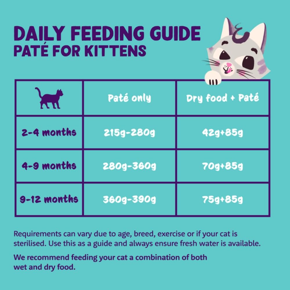 Edgard Cooper Grain Free Wet Cat Food Pate for Adult Cats (Salmon&Chicken 16 x 85g), Natural Cat Food in Cup for Sterilized or Active Cats, Fresh Meat, No Added Sugar
