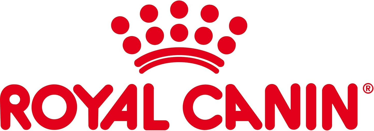 ROYAL CANIN Persian Kitten Cat Feed