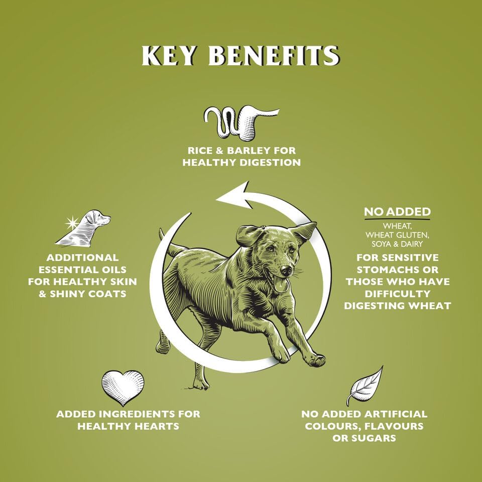 Dr John Wheat-Free Hypoallergenic Dry Dog Food - Lamb with Rice Dog Food 12.5kg - Complete Nutrition for Adult and Senior Dogs with Sensitive Digestion
