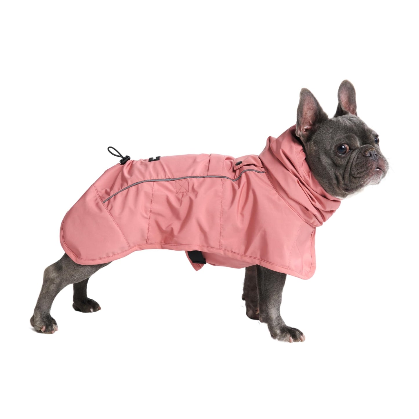 Spark Paws Dog Raincoat, Waterproof Windproof Rain Jacket, For Small Medium Large Extra Large Dogs, Reflective Breathable Full-body Coverage Dry Suit - Neon White Navy Blue, 2XL