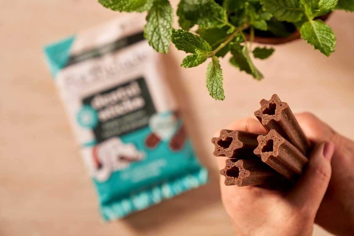 Forthglade Natural Dog Dental Sticks (20 Sticks) - Plant-Based & Grain Free Dog Treats, Dental Chews for Fresh Breath, Removes Plaque and Tartar, Resealable Bags