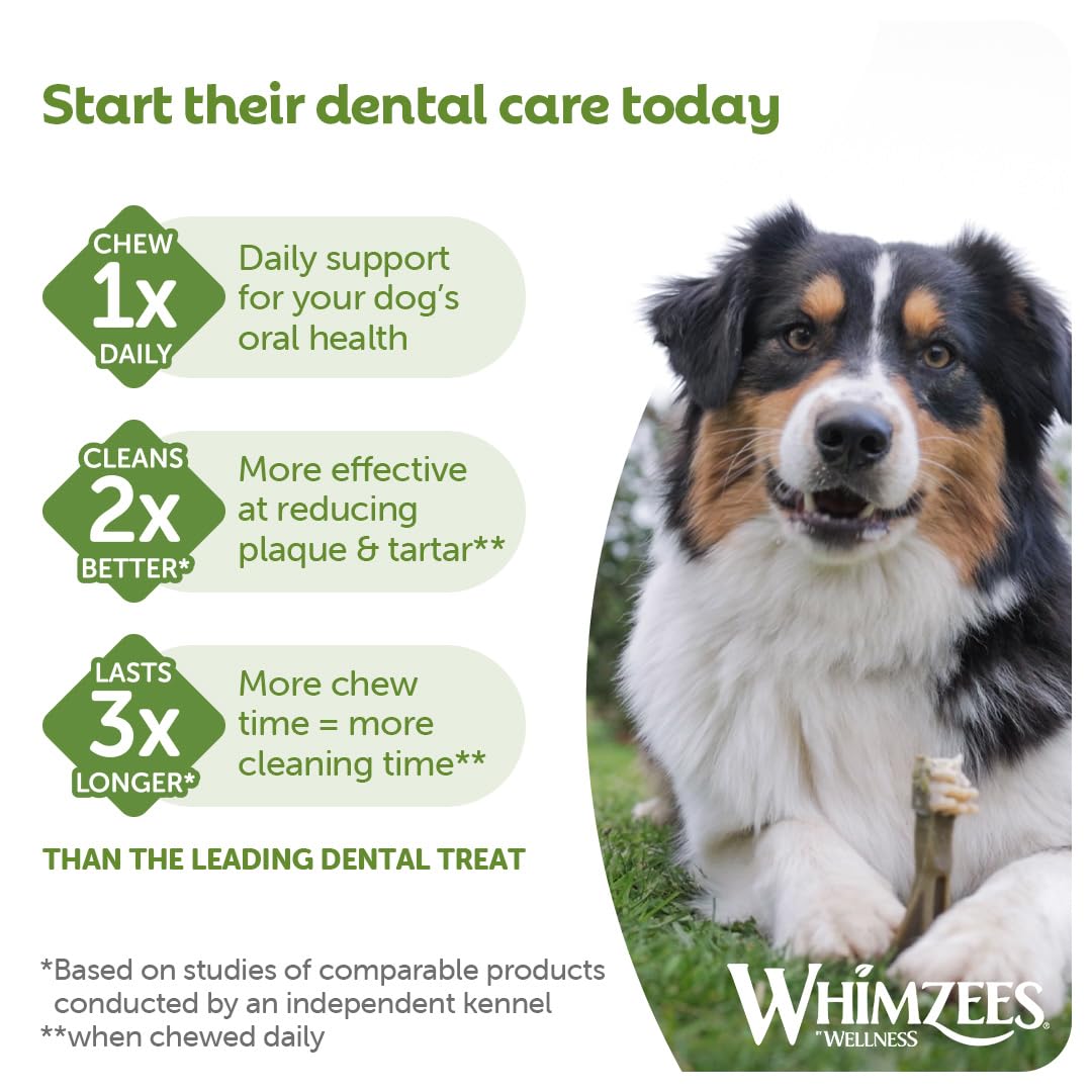 WHIMZEES By Wellness Rice Bone, Dog Dental Sticks, 9 Pieces, Size M/L, Dog Chews for Medium to Large Breeds, Natural, Gluten-Free, Rawhide-Free, Vegetarian