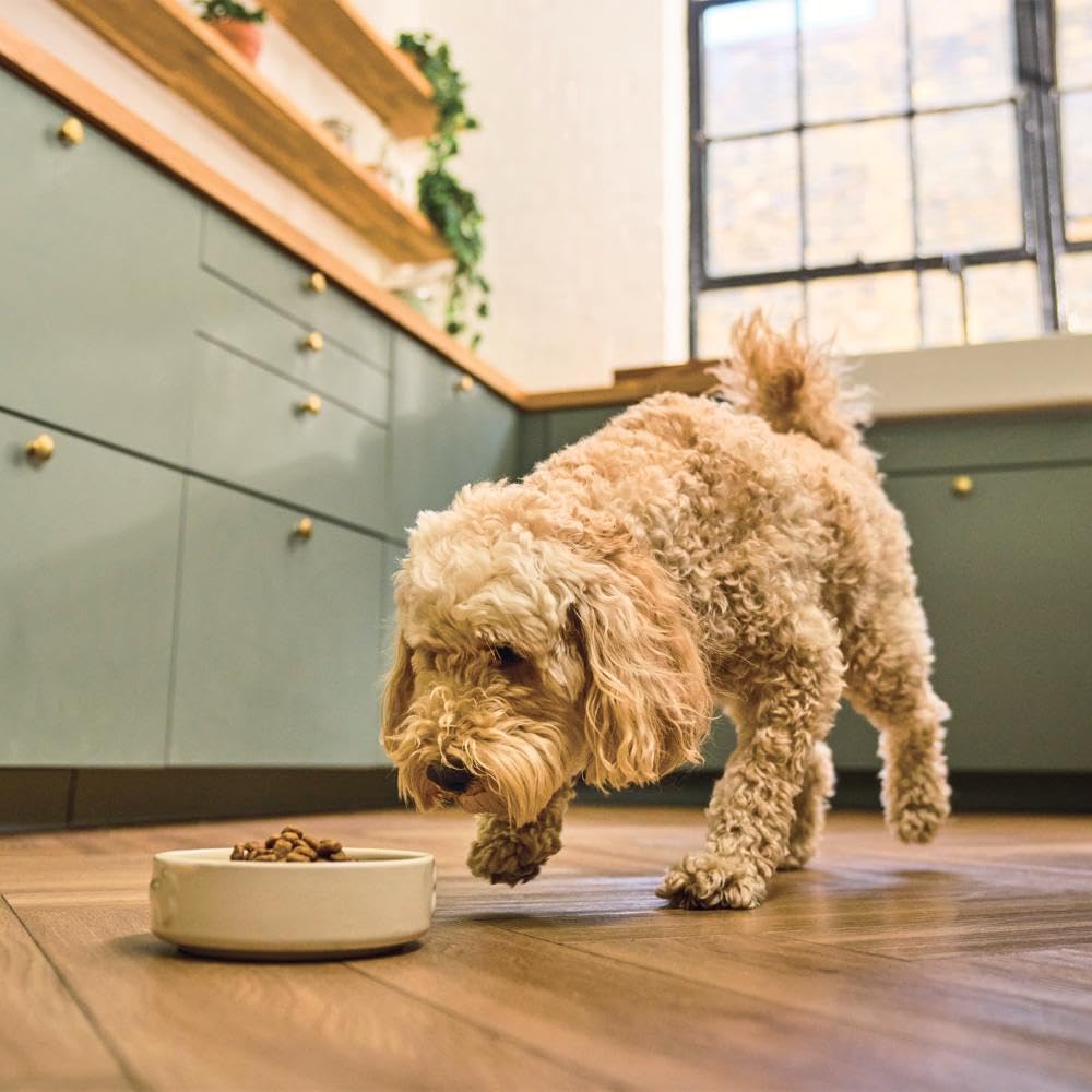 Lily’s Kitchen Made with Natural Ingredients Adult Dry Dog Food Beef Stew with Ancient Grains 1kg Bag