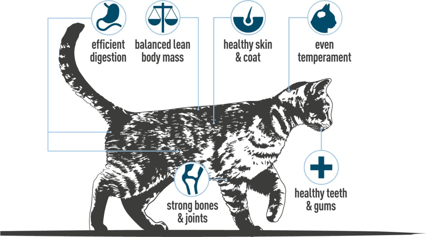Cotswold RAW Complete Cat, Raw Cat Food, GWF Nutrition, Premium British Meat Raw Food for All Cats, Frozen Cat Meal, Mixed Mince – 6kg