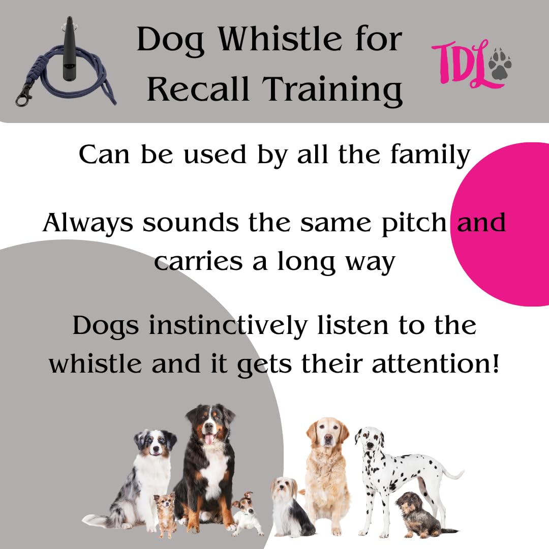 TDL Gun Dog Training Whistle with Lanyard - Dog Whistle with Loud, Solid Tone & Far Reaching Sound - Ideal High-Frequency Long-Distance Dog Recall Whistle for Most Breeds