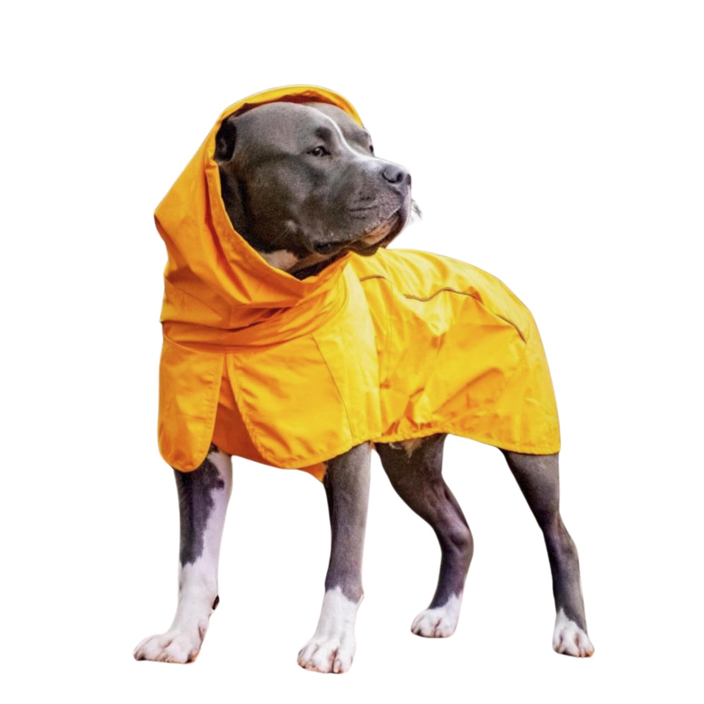 Spark Paws Dog Raincoat, Waterproof Windproof Rain Jacket, For Small Medium Large Extra Large Dogs, Reflective Breathable Full-body Coverage Dry Suit - Neon White Navy Blue, 2XL