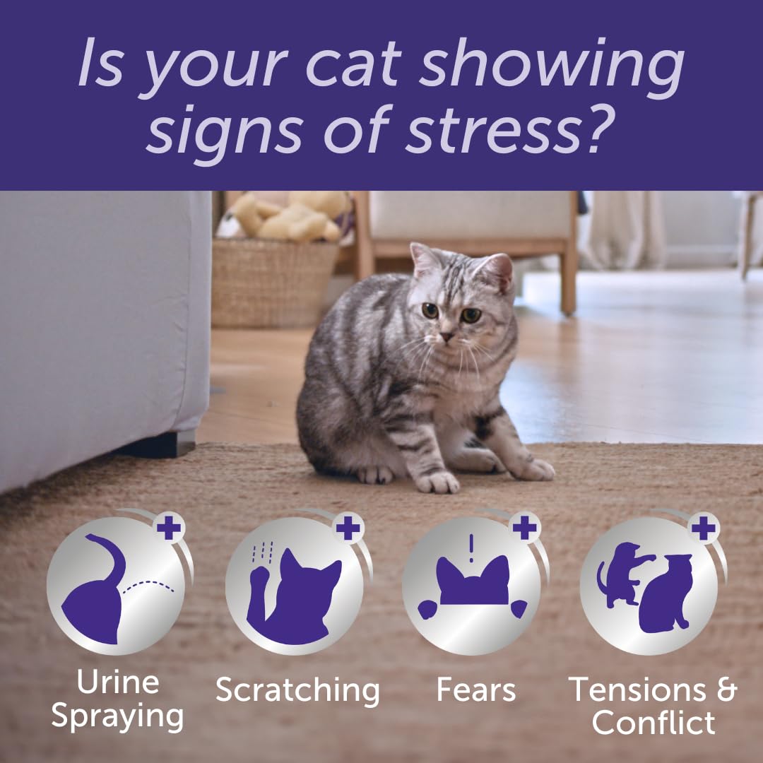 FELIWAY Optimum 30 Day Cat Calming Odourless Plug In Pheromone Diffuser Starter Kit, 48ml - Helps Solve Signs of Stress in Cats & Kittens, Veterinary Recommended, Drug-free, Clinically Proven