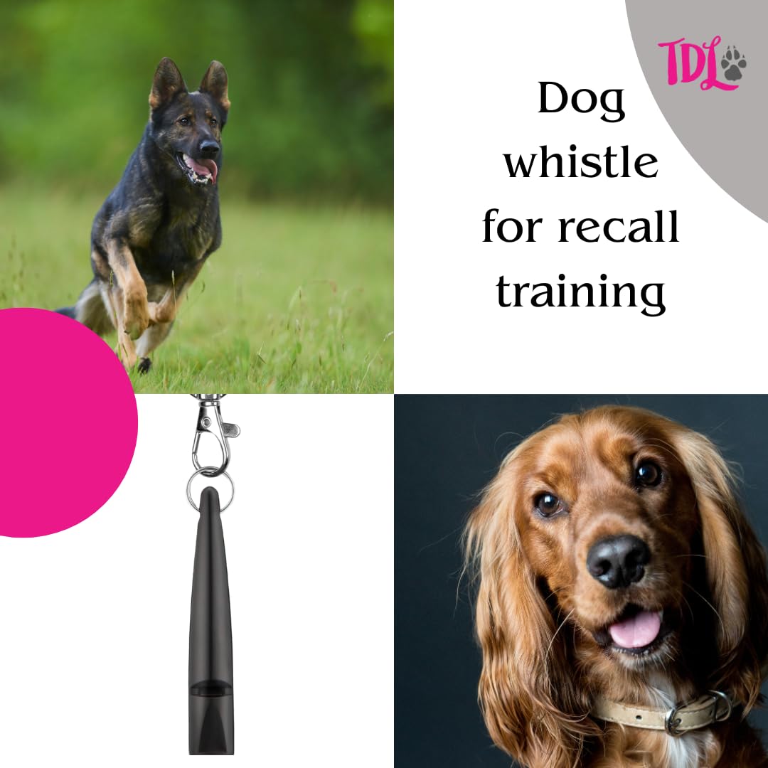 TDL Gun Dog Training Whistle with Lanyard - Dog Whistle with Loud, Solid Tone & Far Reaching Sound - Ideal High-Frequency Long-Distance Dog Recall Whistle for Most Breeds