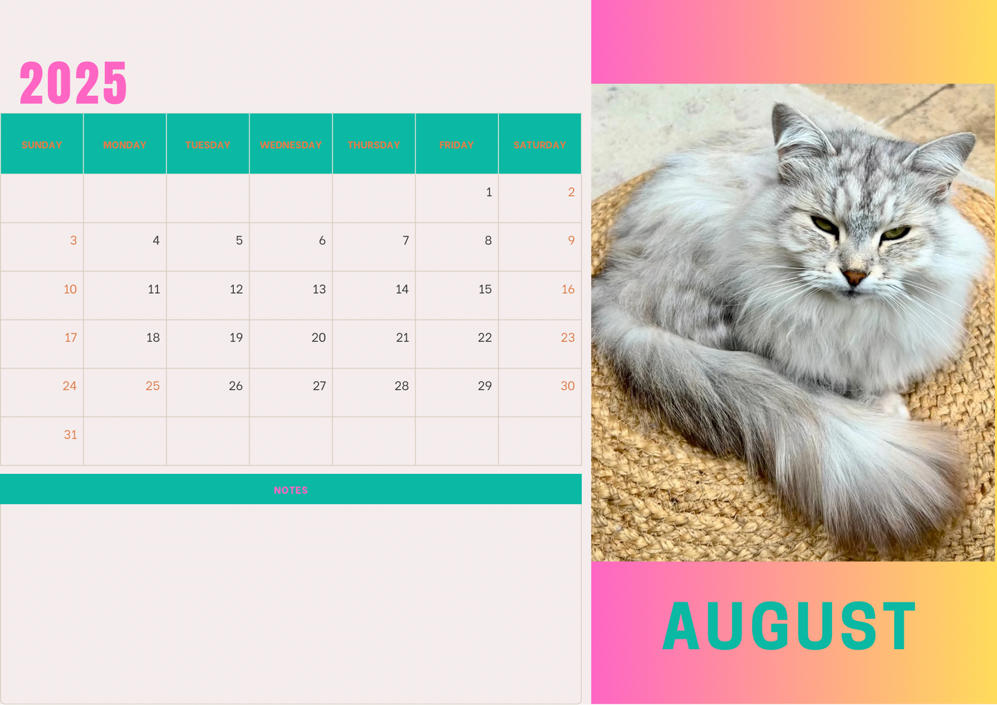 Cats calendars 2025 A4 landscape