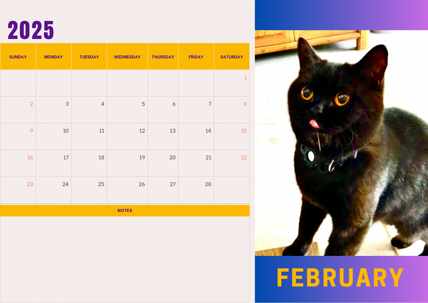 Cats 2 calendar 2025 A4 landscape