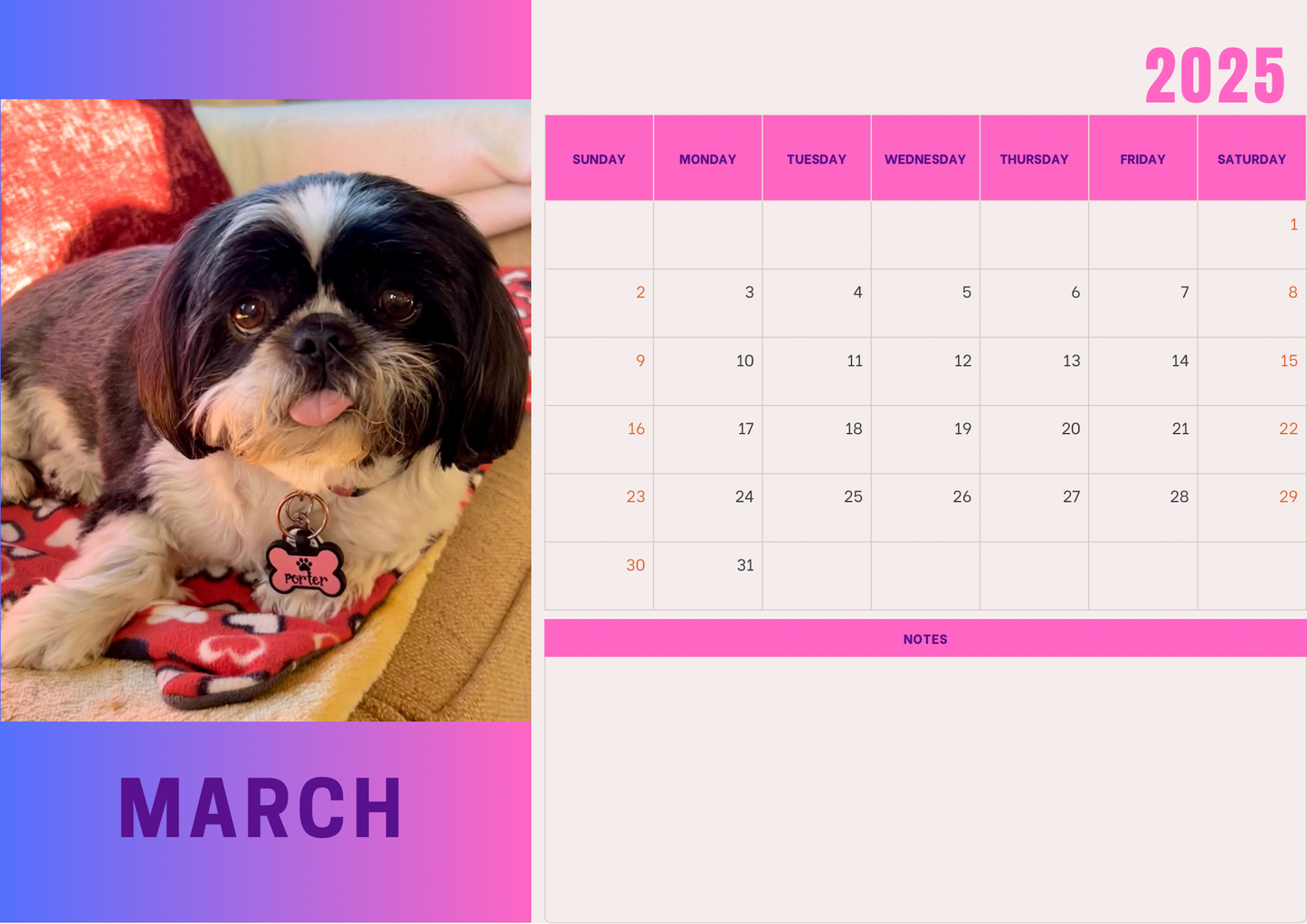 Dogs calendars 2025 A4 landscape