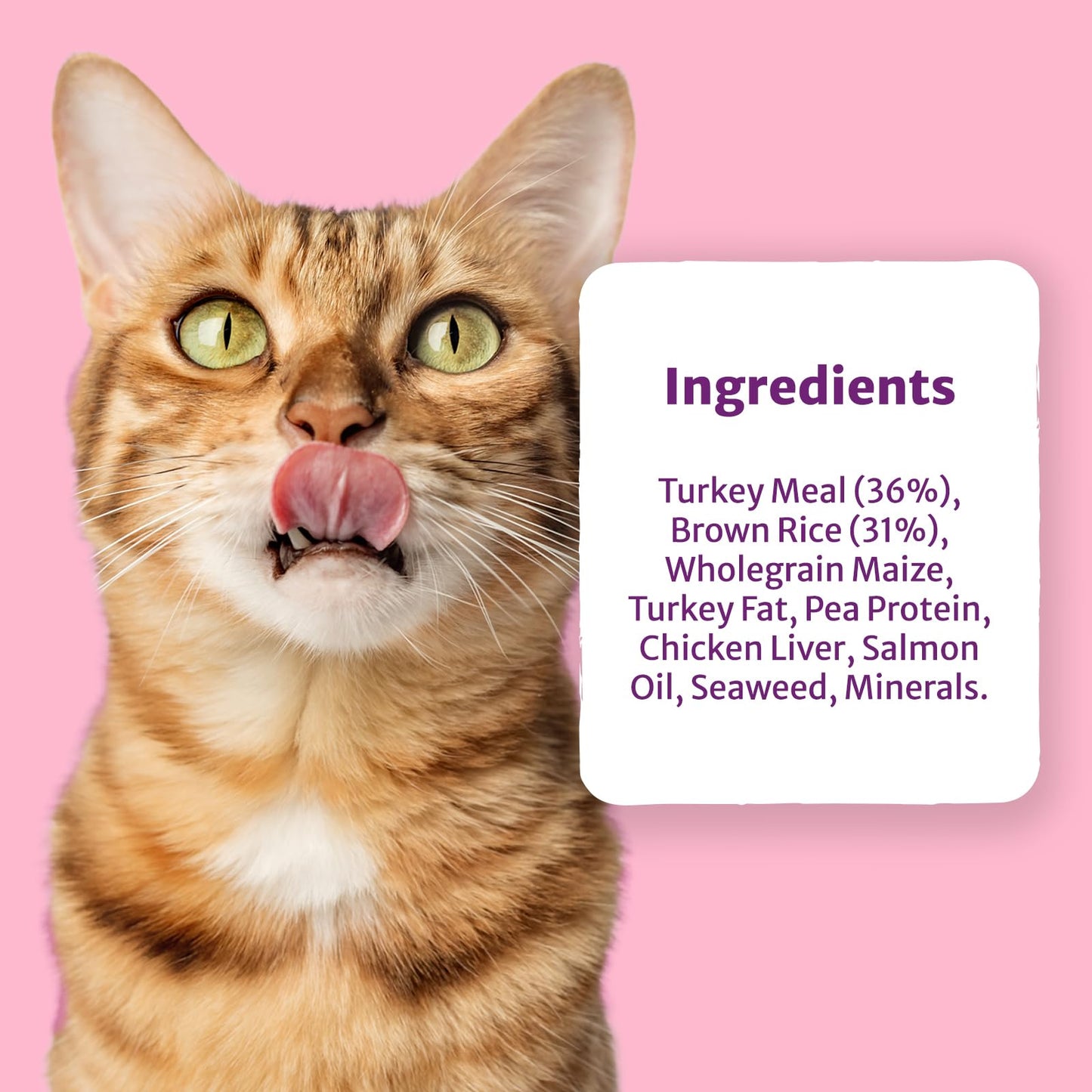 Burns Pet Nutrition Cat Food Sensitive Duck and Potato Grain Free 1.5 kg