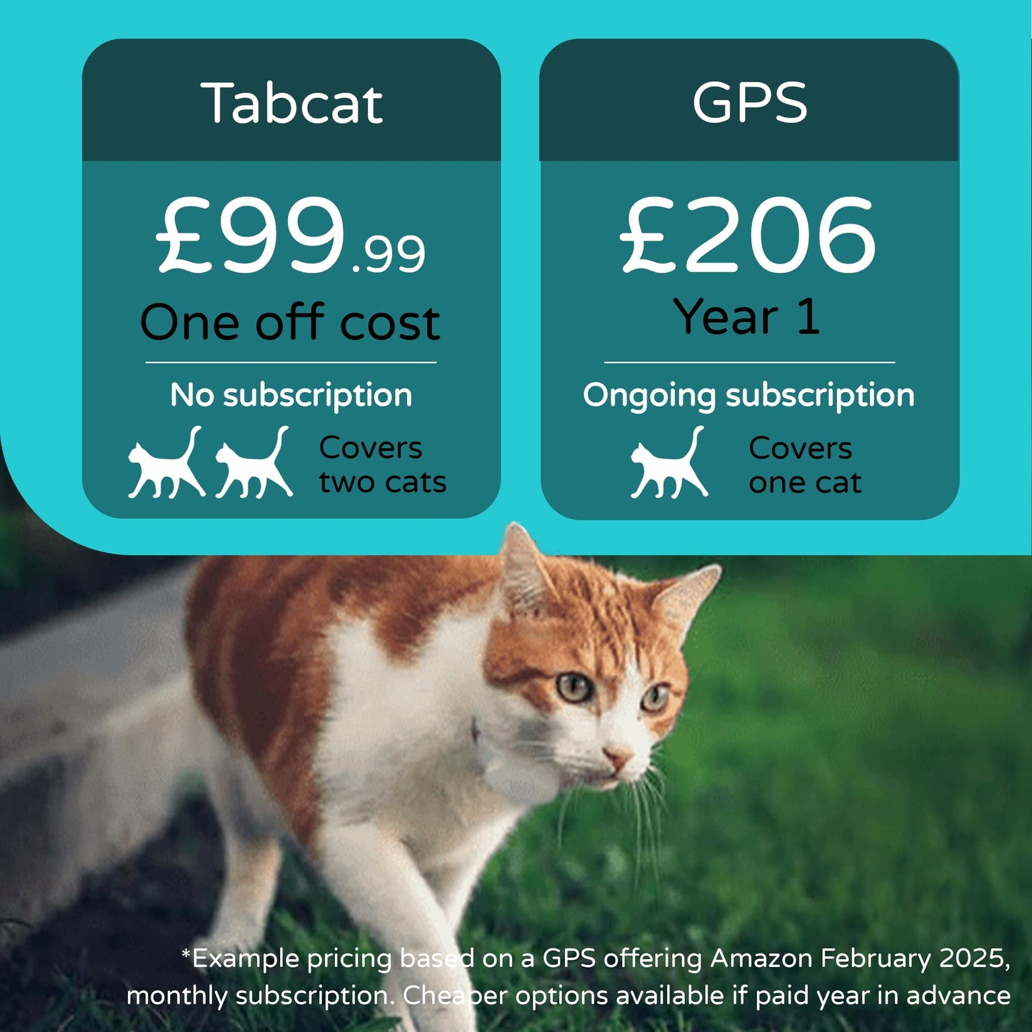 V2 Cat & Kitten Tracker - More Accurate than GPS - No Monthly Fee or Subscription - Includes 2 Homing Tags - Up To 150m Range - Small & Lightweight Tags Perfect to Find Indoor & Outdoor Cats