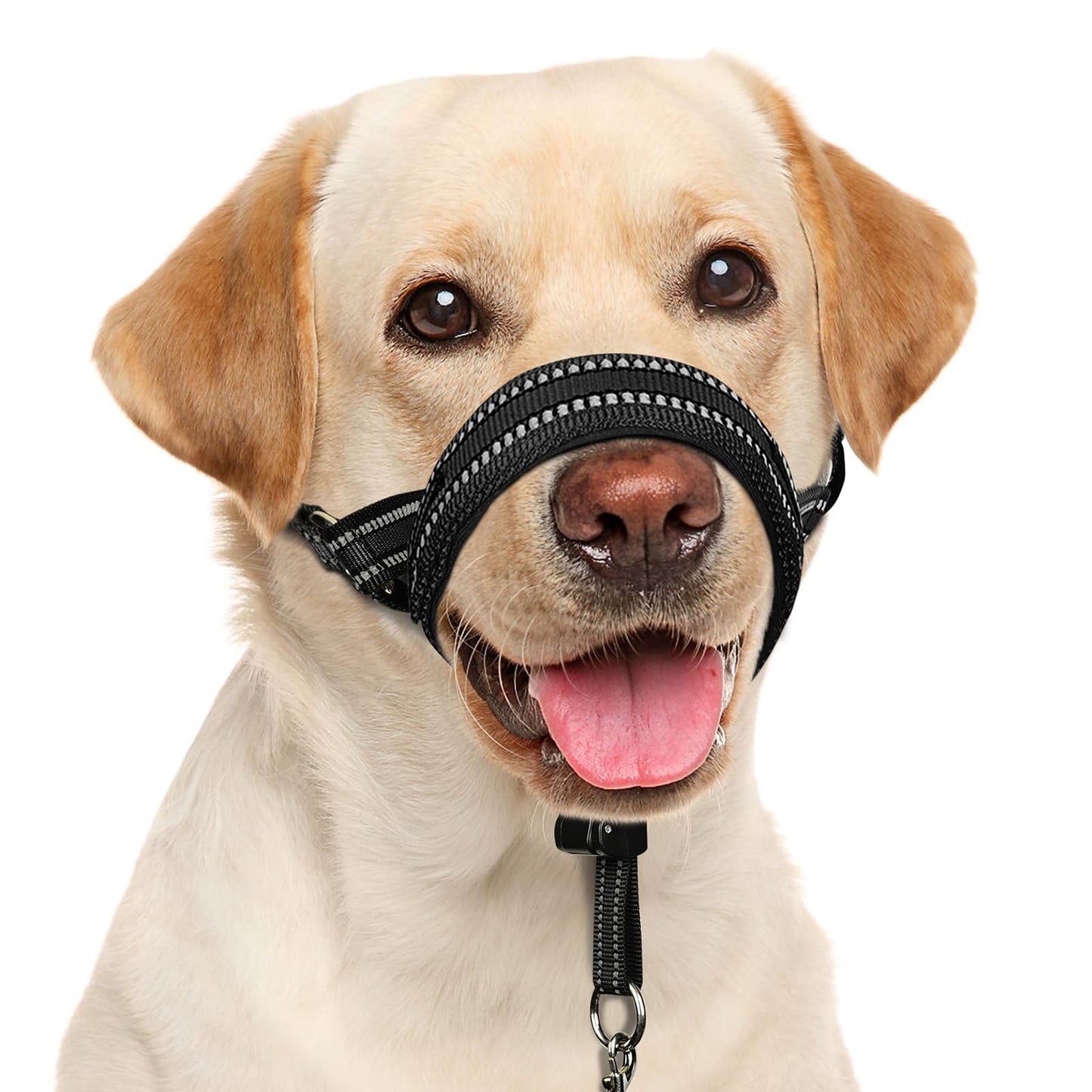 Mayerzon Dog Head Collar with Soft Padded, Gentle Leader for Medium Large Dogs, No Pull Head Harness, Anti Pull Adjustable Reflective Training Head Halter Collar (M)