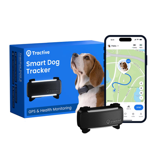 Tractive Smart Dog Tracker | 2025 Edition | Real-time GPS Tracking | Escape & Health Alerts | Vitals Monitoring | Market Leader (Black)