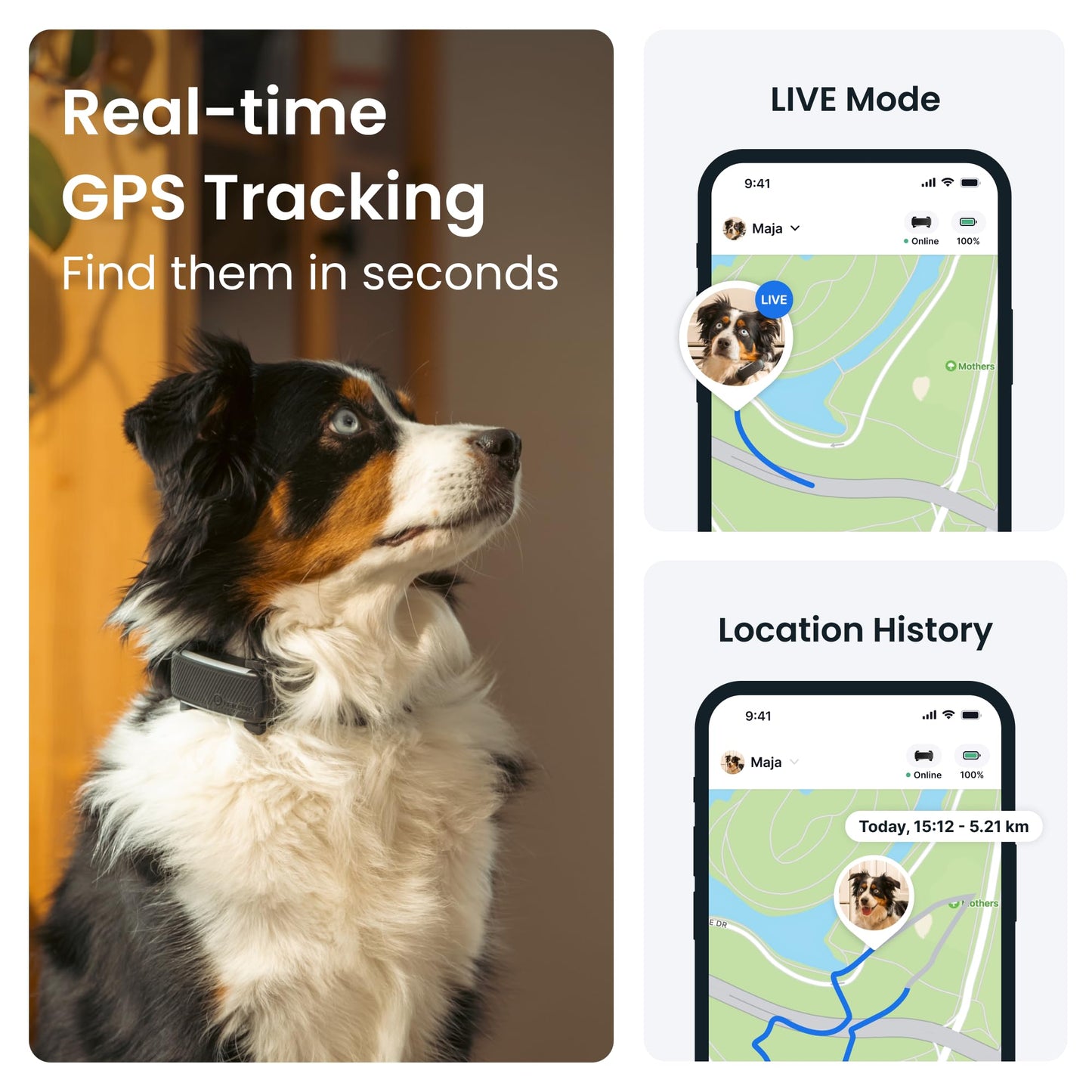 Tractive GPS Dog Tracker | 2025 Edition | Market leader | Real-time location tracking | Escape Alerts | Activity Monitoring | Health Alerts | Bark Monitoring