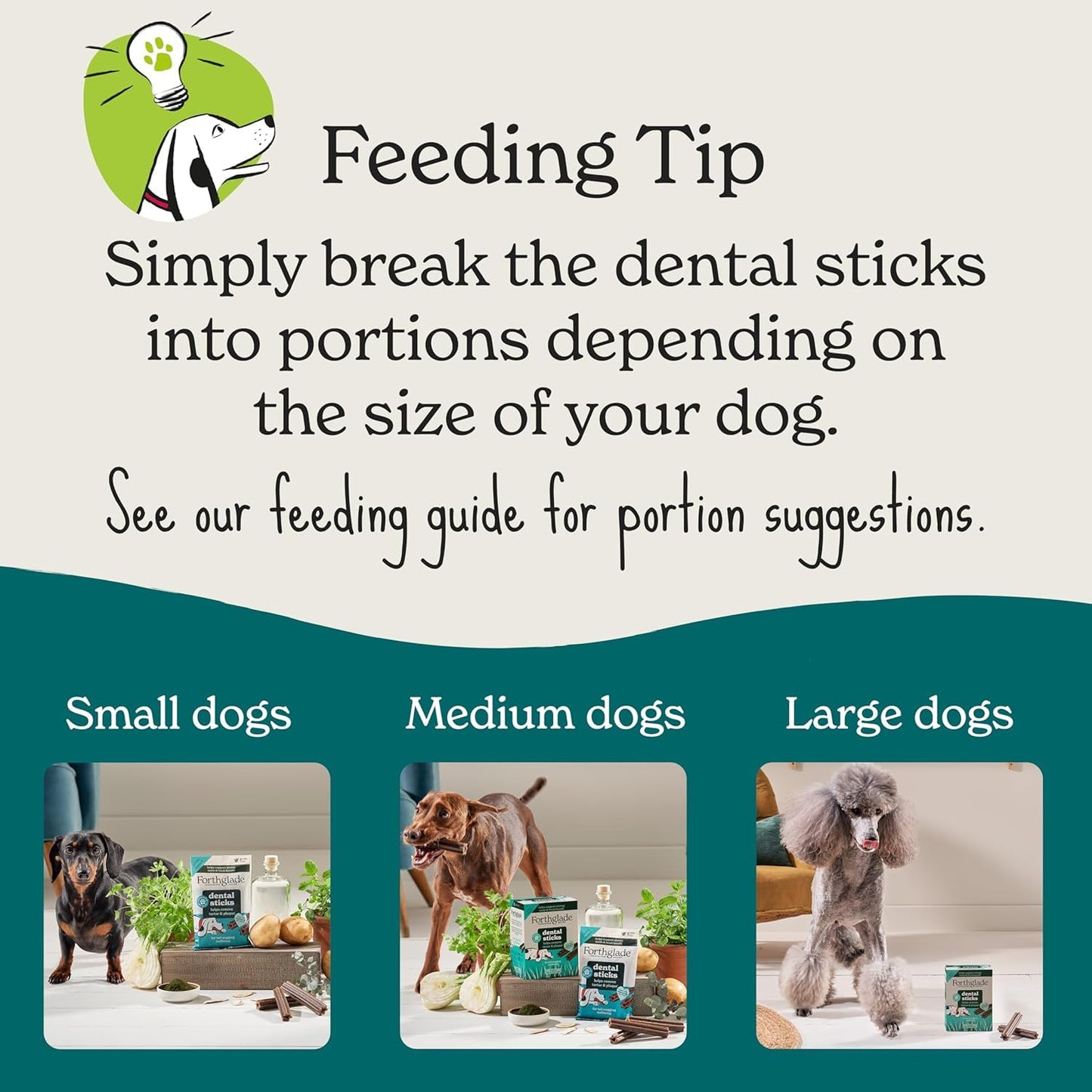 Forthglade Natural Dog Dental Sticks (20 Sticks) - Plant-Based & Grain Free Dog Treats, Dental Chews for Fresh Breath, Removes Plaque and Tartar, Resealable Bags