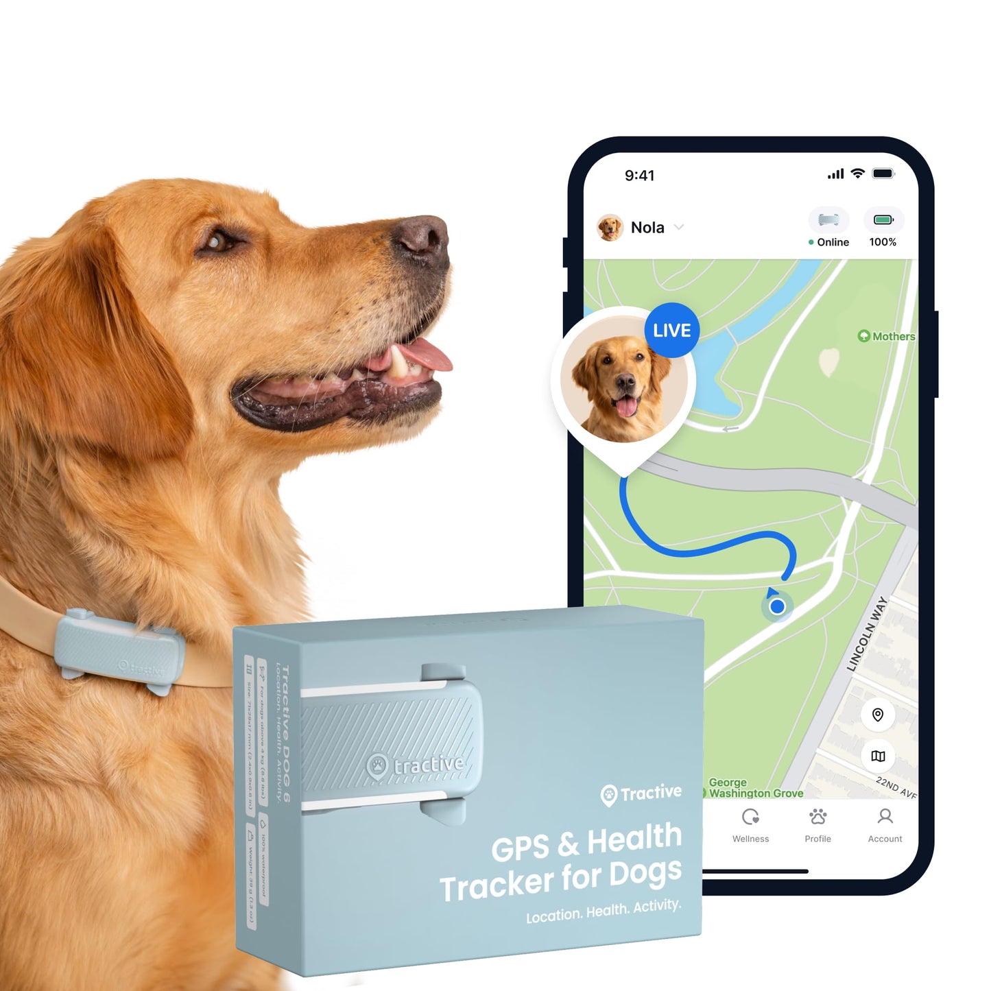 Tractive GPS Dog Tracker | 2025 Edition | Market leader | Real-time location tracking | Escape Alerts | Activity Monitoring | Health Alerts | Bark Monitoring