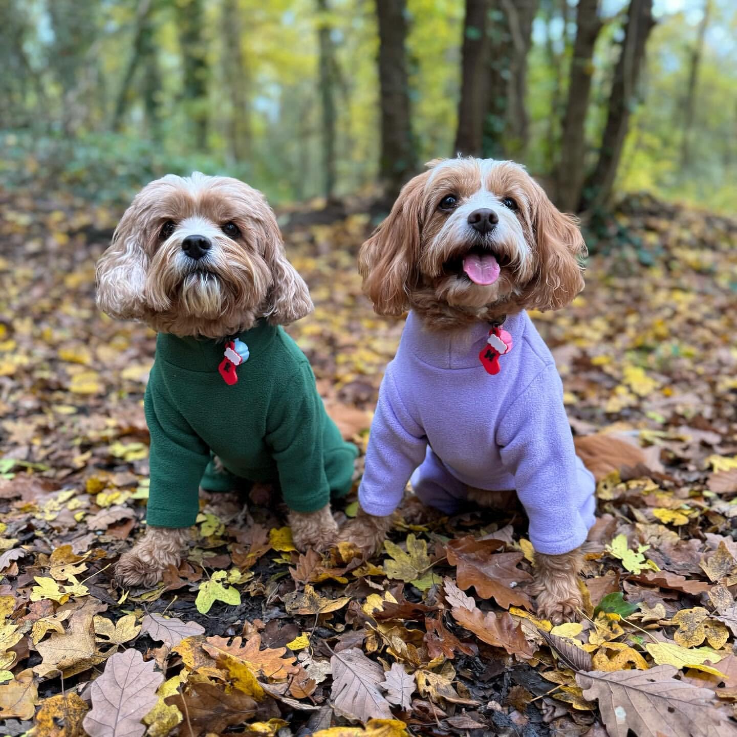 Warm Four-Legged Dog Fleece – Super Soft, Weather-Resistant, Available in a Range of Sizes and Colours