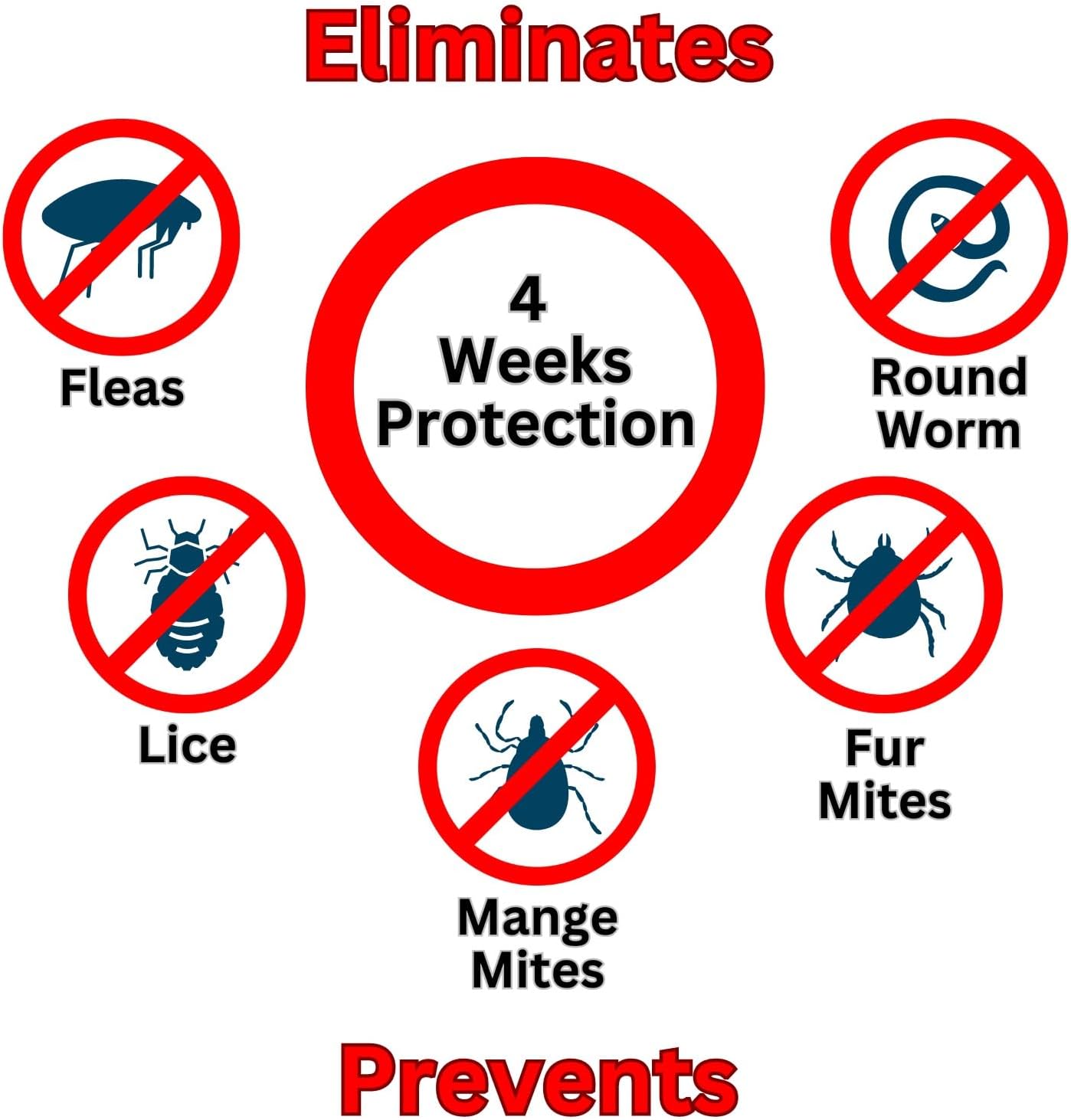 Little Furries - 5 PIPETTES - Anti-Parasite Spot-On - Treat Rabbits, Guinea Pigs, Ferrets, & Rats Over 300 g - Kills Lice, Mice, Fleas, & Roundworms