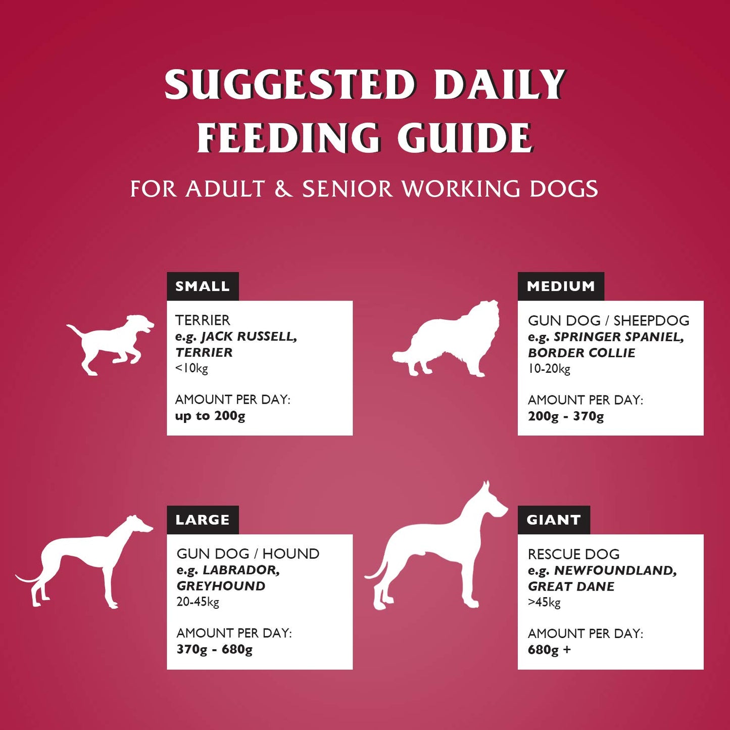 Dr John Silver Dry Dog Food 15kg - Beef with Vegetables - Complete Dog Biscuits 15kg - Senior and Adult Dog Food for Light Activity, Maintenance and Resting Dogs