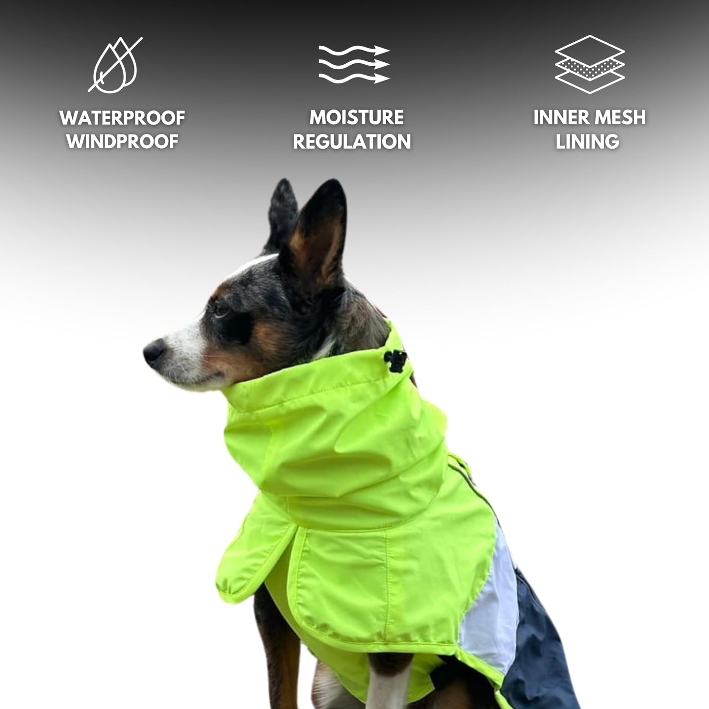 Spark Paws Dog Raincoat, Waterproof Windproof Rain Jacket, For Small Medium Large Extra Large Dogs, Reflective Breathable Full-body Coverage Dry Suit - Neon White Navy Blue, 2XL